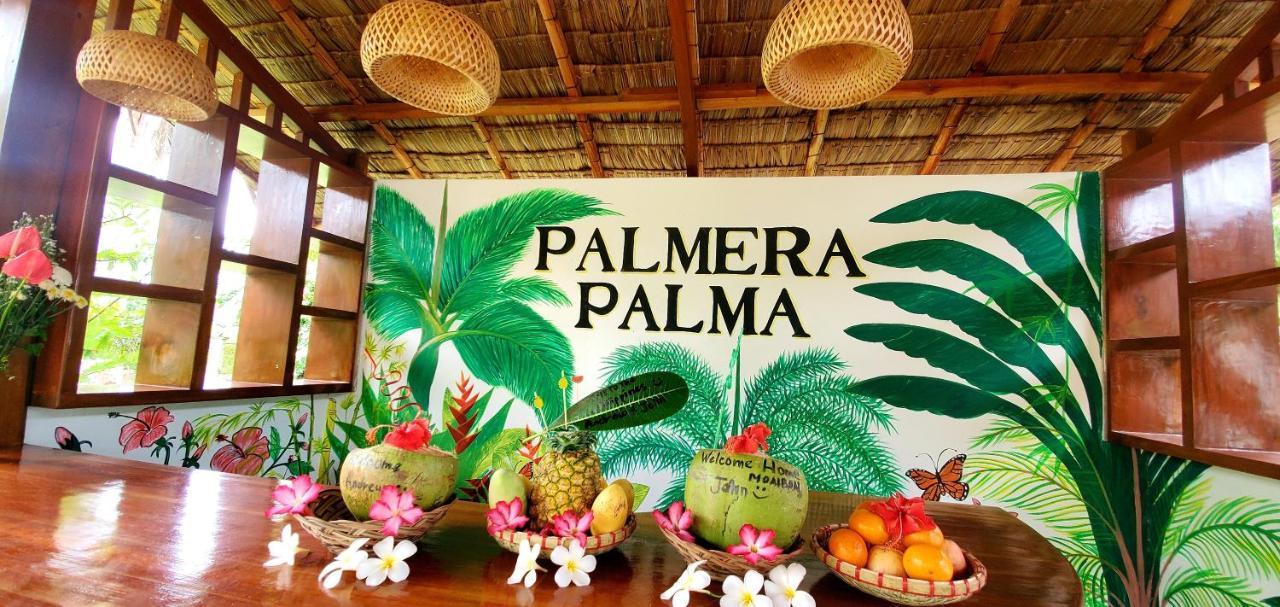 Palmera Palma Top Floor Moalboal Bagian luar foto